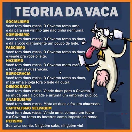 Teoria da Vaca